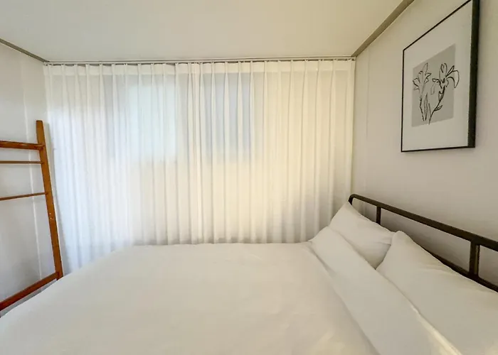 Viva 4*